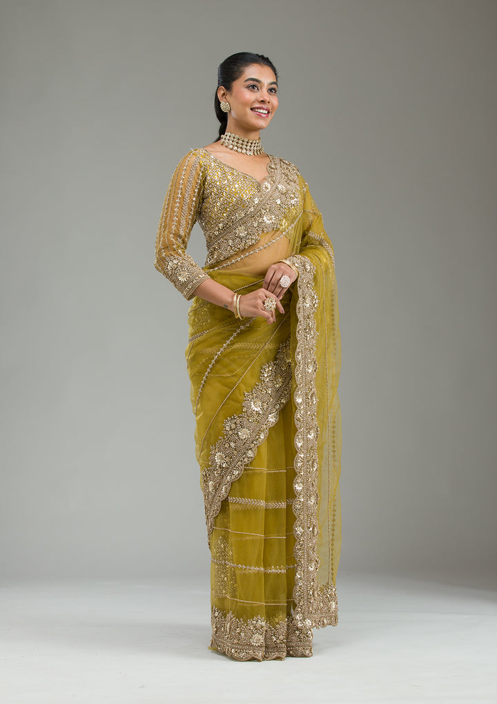 Mehendi Zariwork Tissue Saree