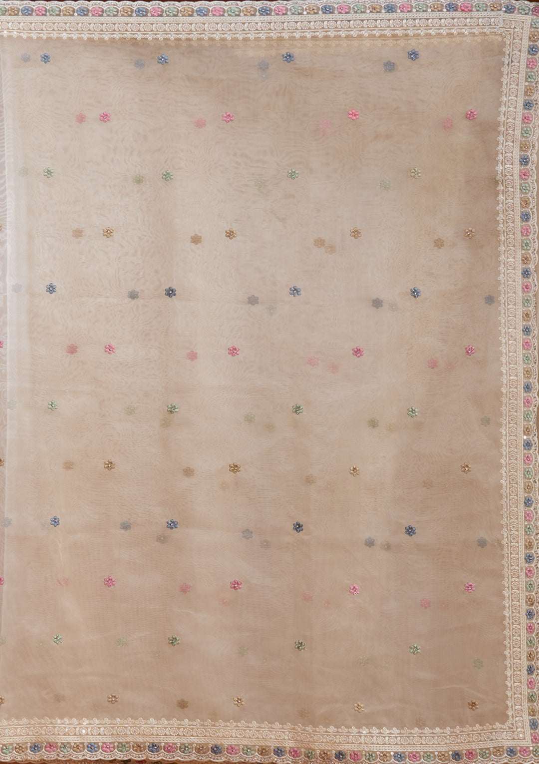 Beige Threadwork Tissue Saree