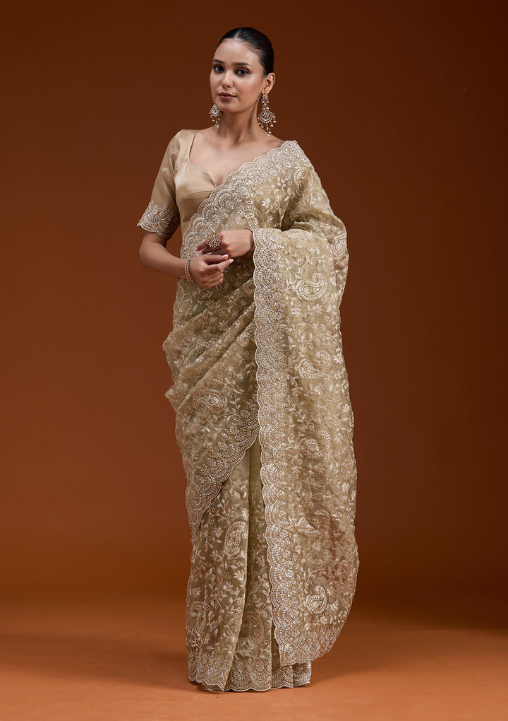 Gold Cording Tissue Saree