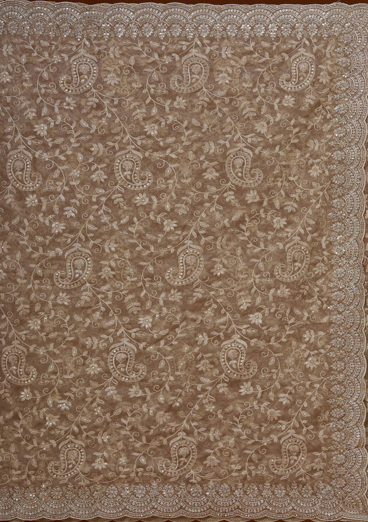 Gold Cording Tissue Saree