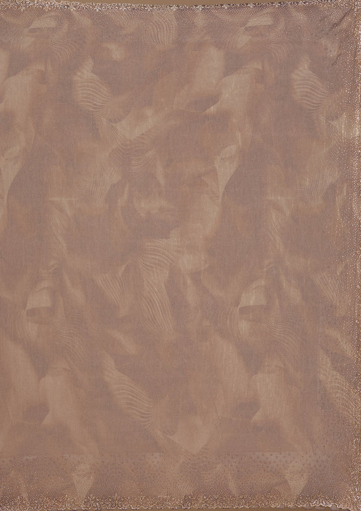 Brown Stonework (Gold) Tissue Saree