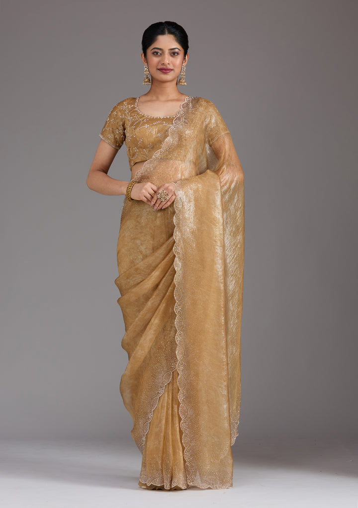 Gold Stonework (Gold) Tissue Saree