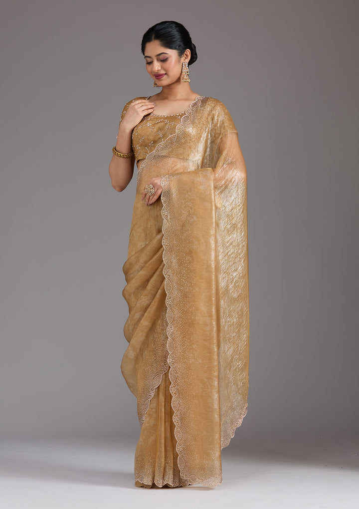 Gold Stonework (Gold) Tissue Saree