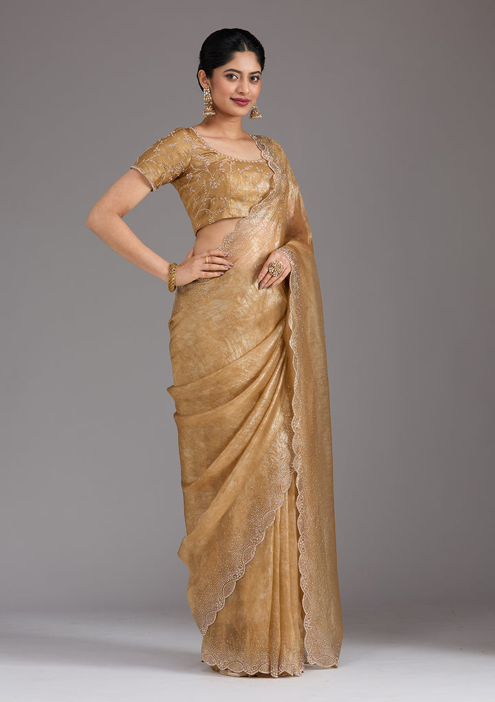 Gold Stonework (Gold) Tissue Saree