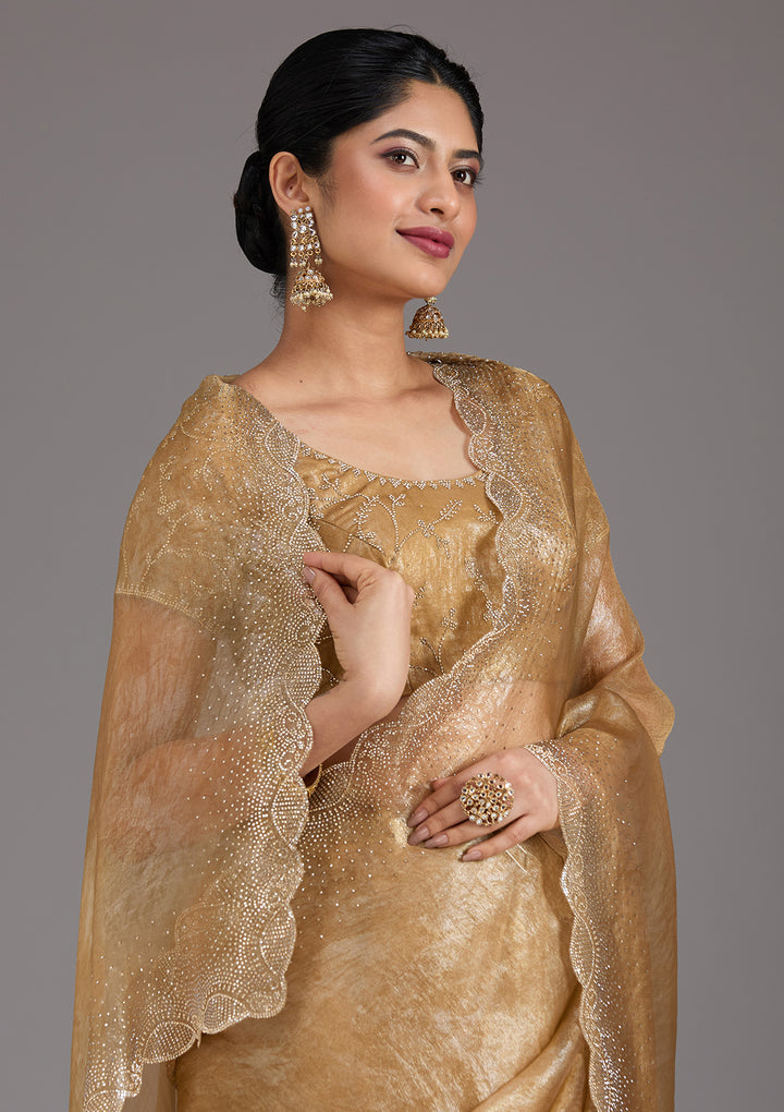 Gold Stonework (Gold) Tissue Saree