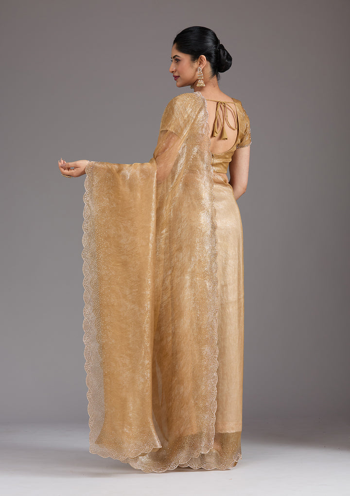 Gold Stonework (Gold) Tissue Saree