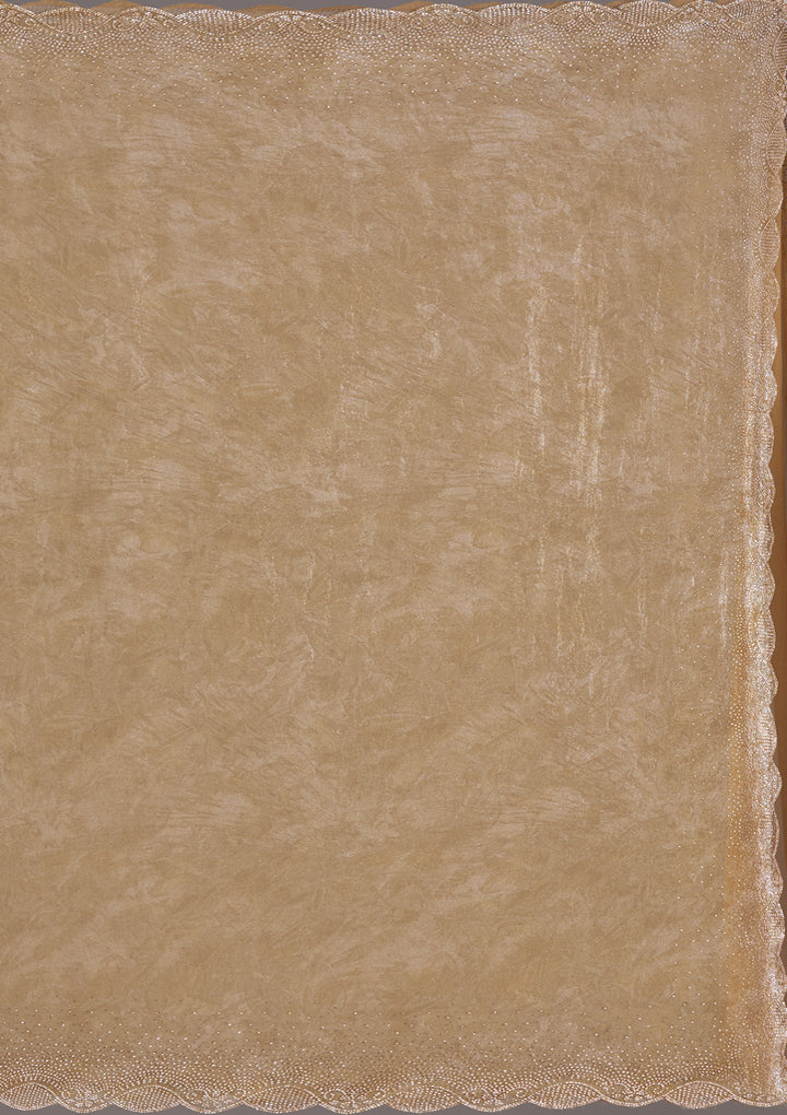 Gold Stonework (Gold) Tissue Saree