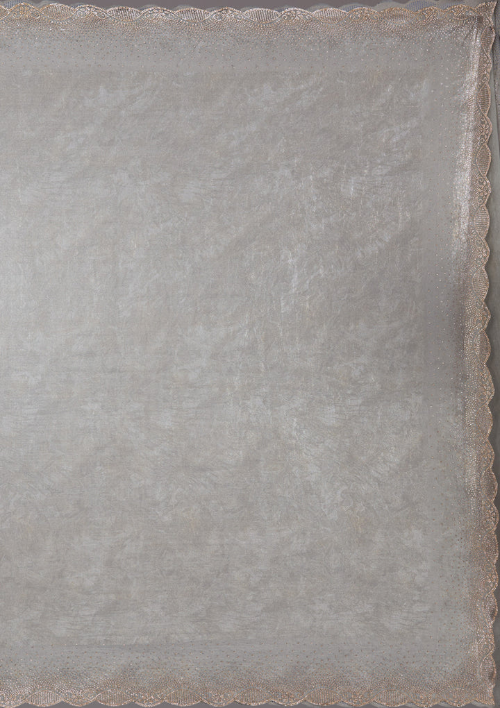 Grey Stonework (Gold) Tissue Saree