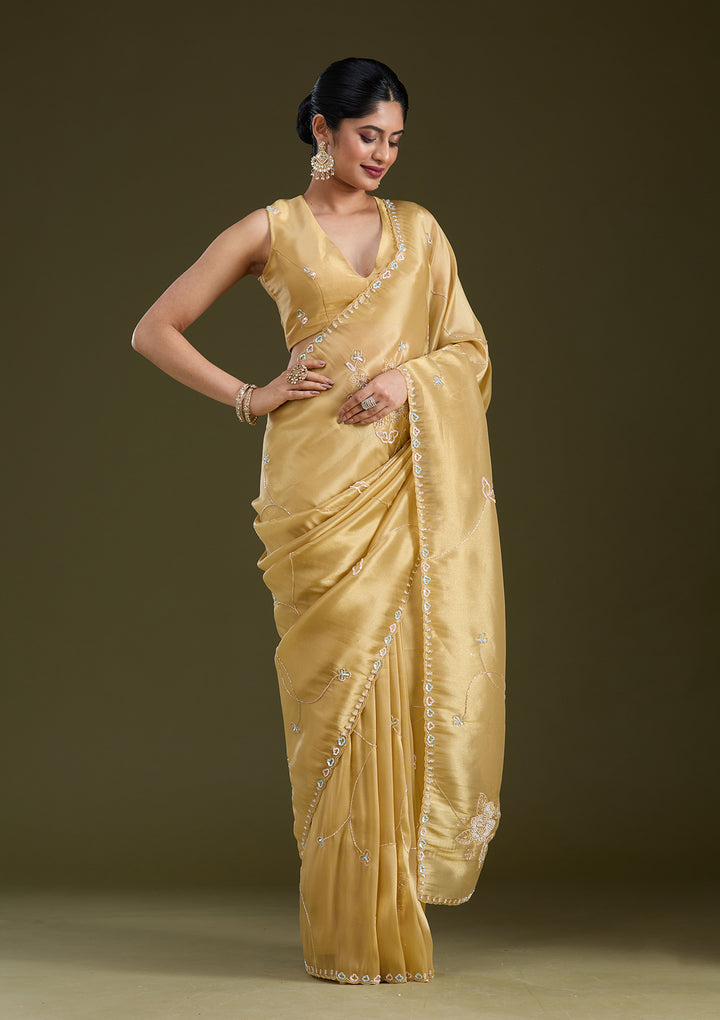 Gold Aariwork Tissue Saree