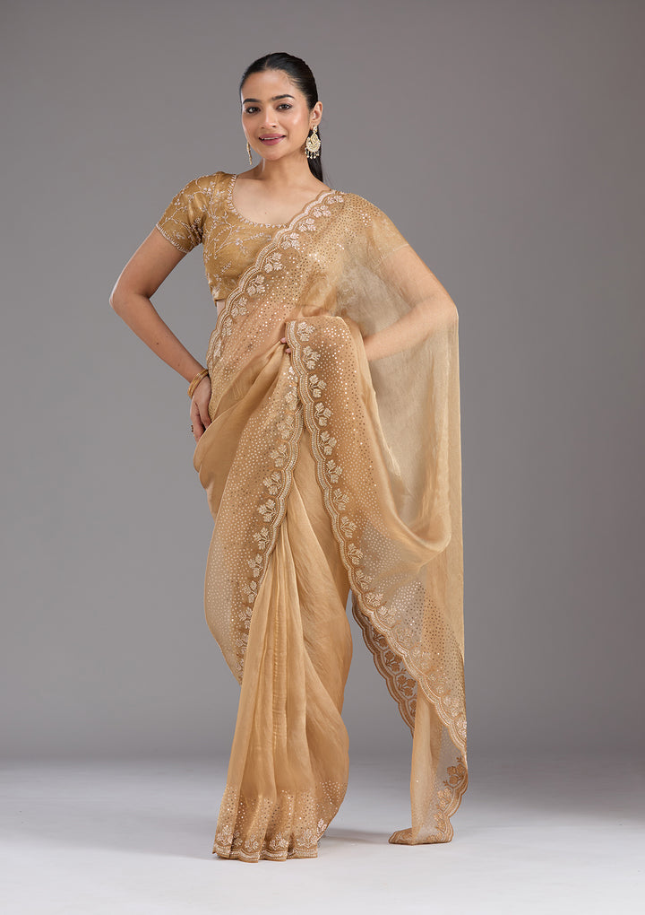 Gold Stonework Tissue Saree