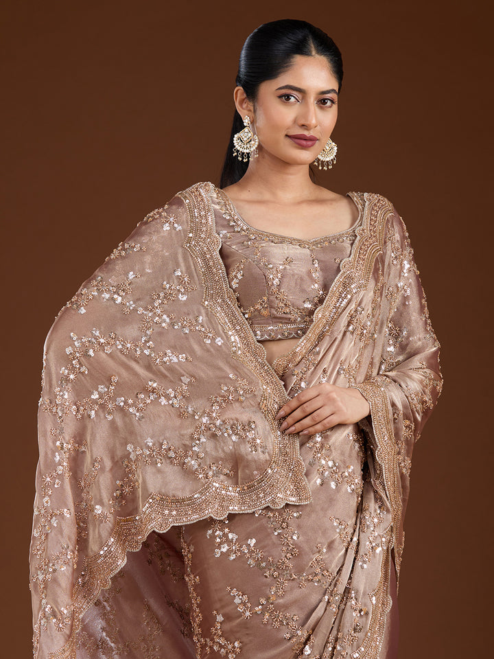 Light Brown Cutdana Tissue Saree