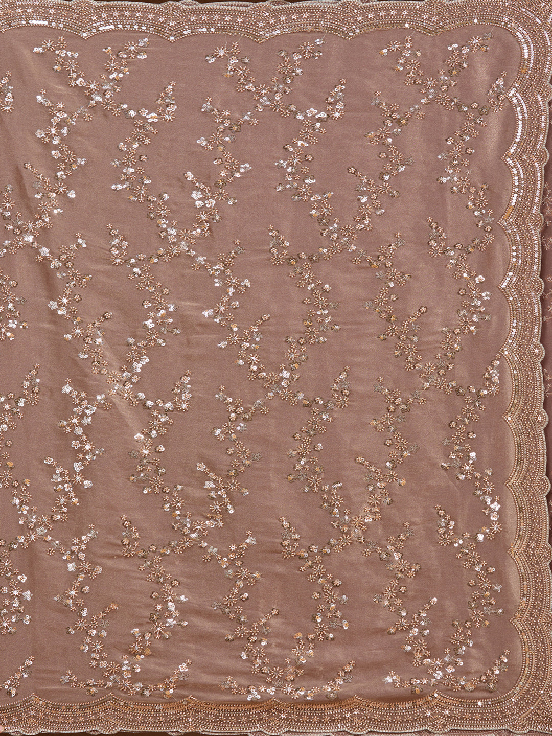 Light Brown Cutdana Tissue Saree