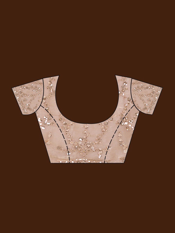 Light Brown Cutdana Tissue Saree