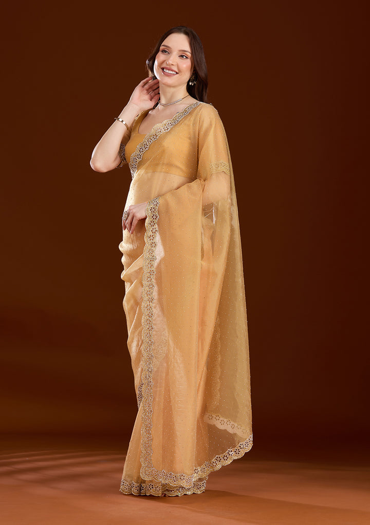 Gold Cutdana Tissue Saree