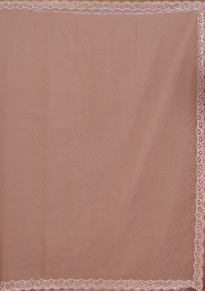 Onion Pink Cutdana Tissue Saree