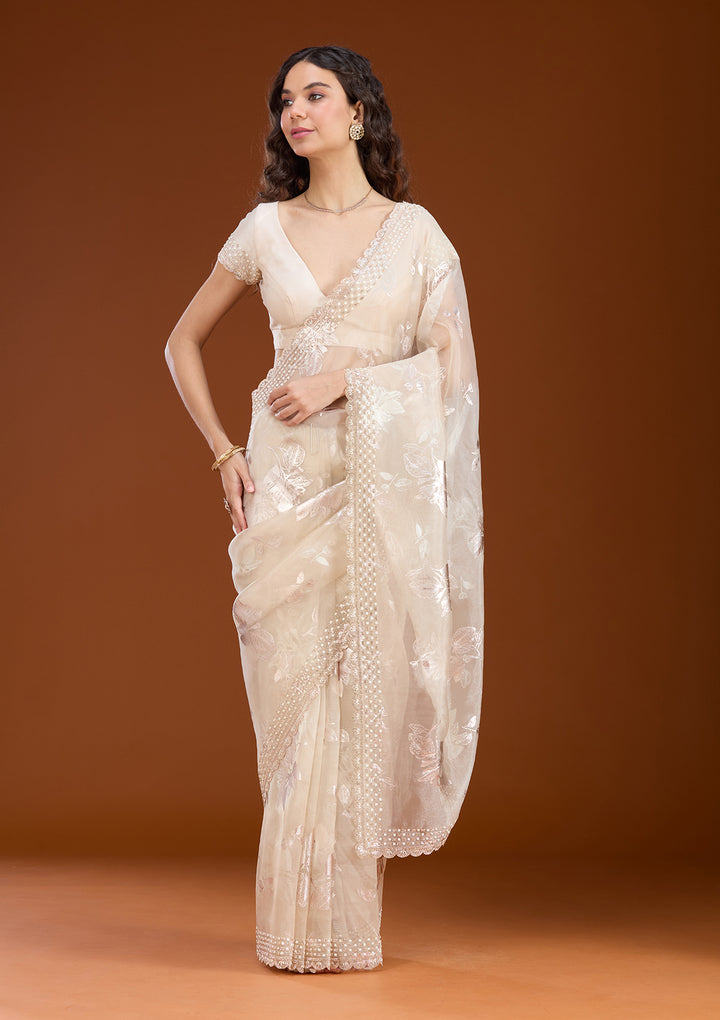Beige Stonework (Gold) Organza Saree