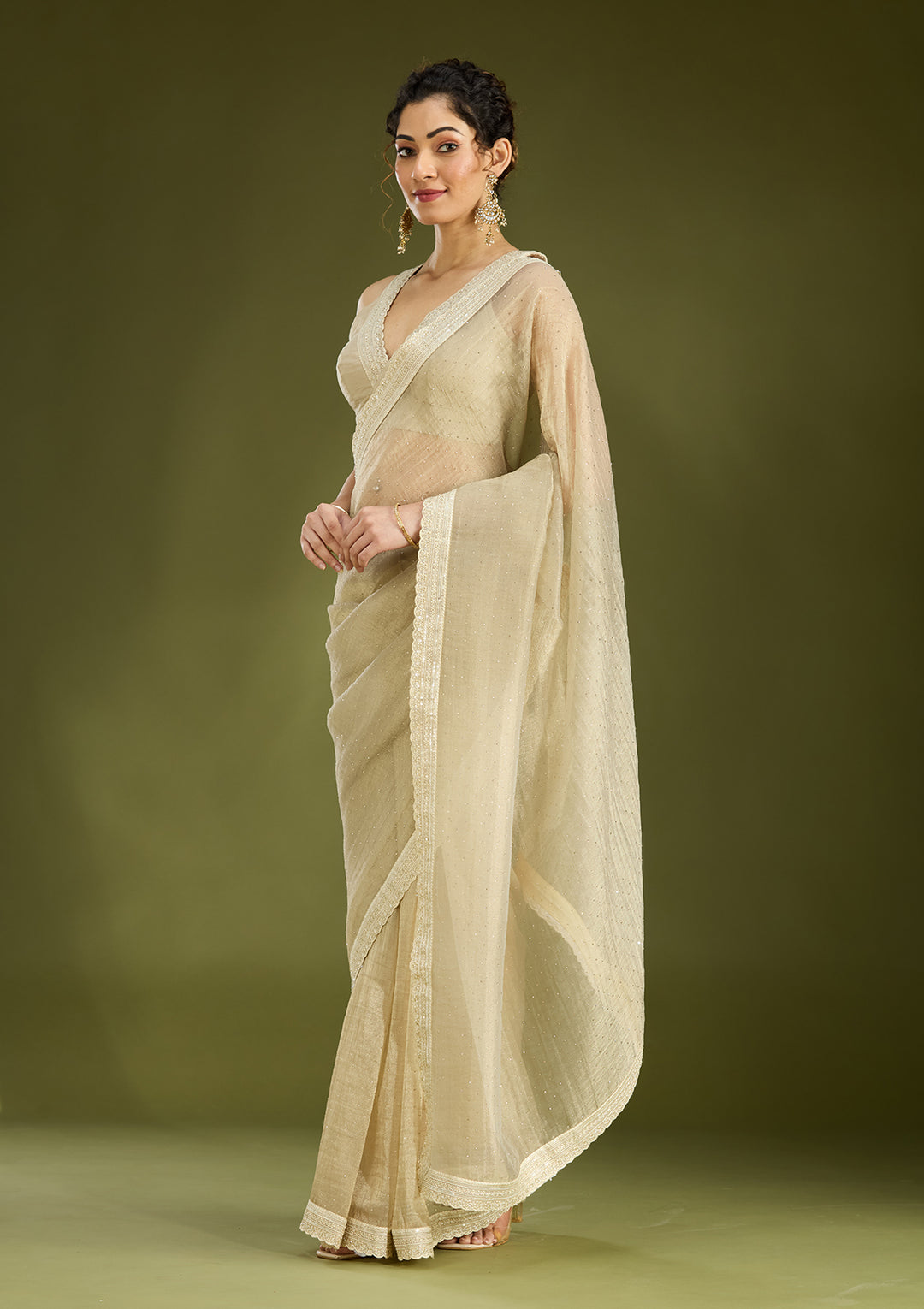 Beige Zariwork (Gold) Tissue Saree