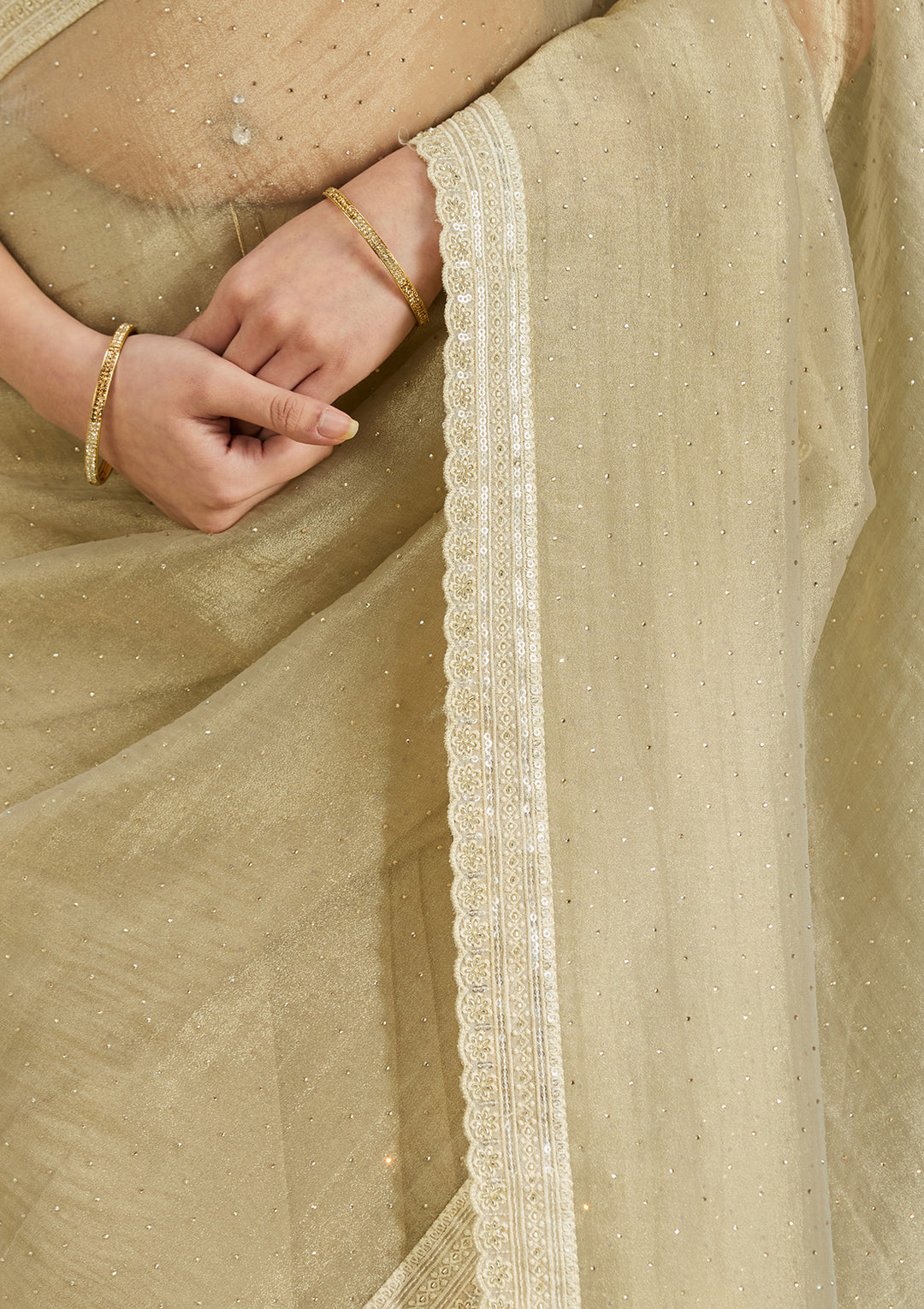 Beige Zariwork (Gold) Tissue Saree