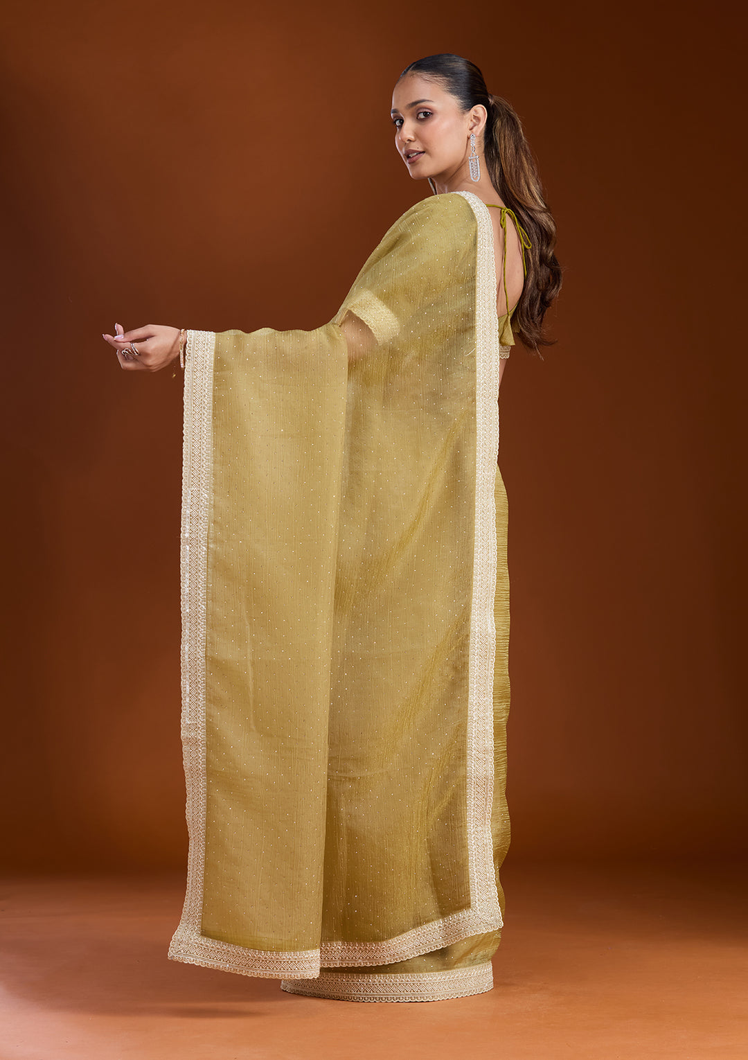 Mehendi Zariwork (Gold) Tissue Saree