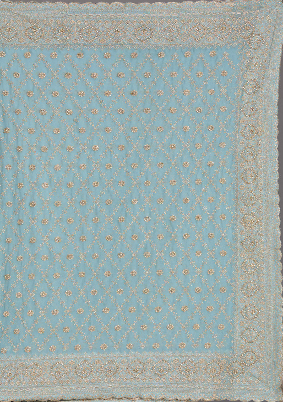 Sky Blue Zariwork (Gold) Georgette Saree