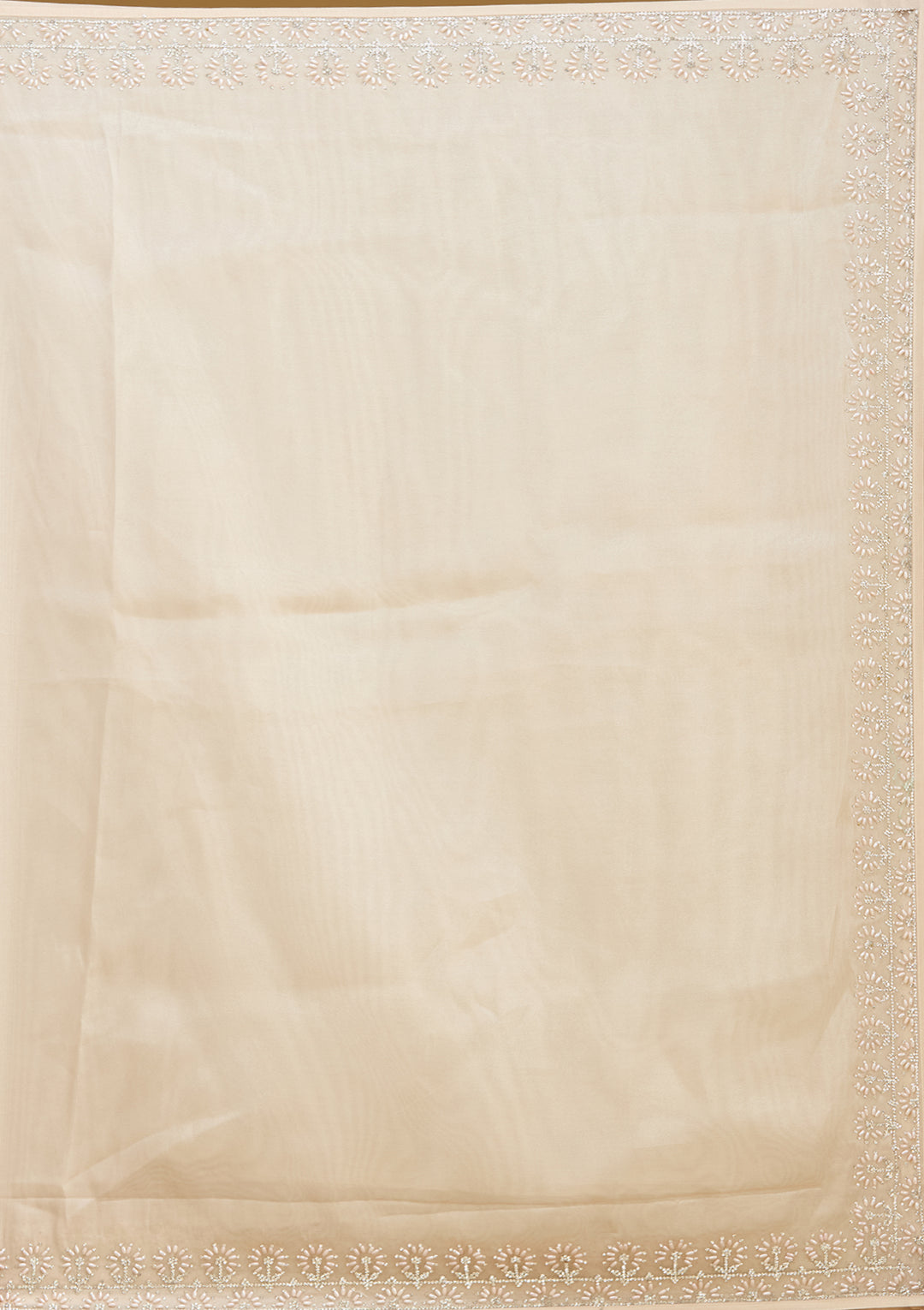 Beige Pearlwork Tissue Saree