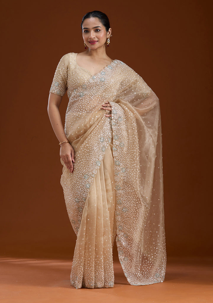Beige Sequins Tissue Saree