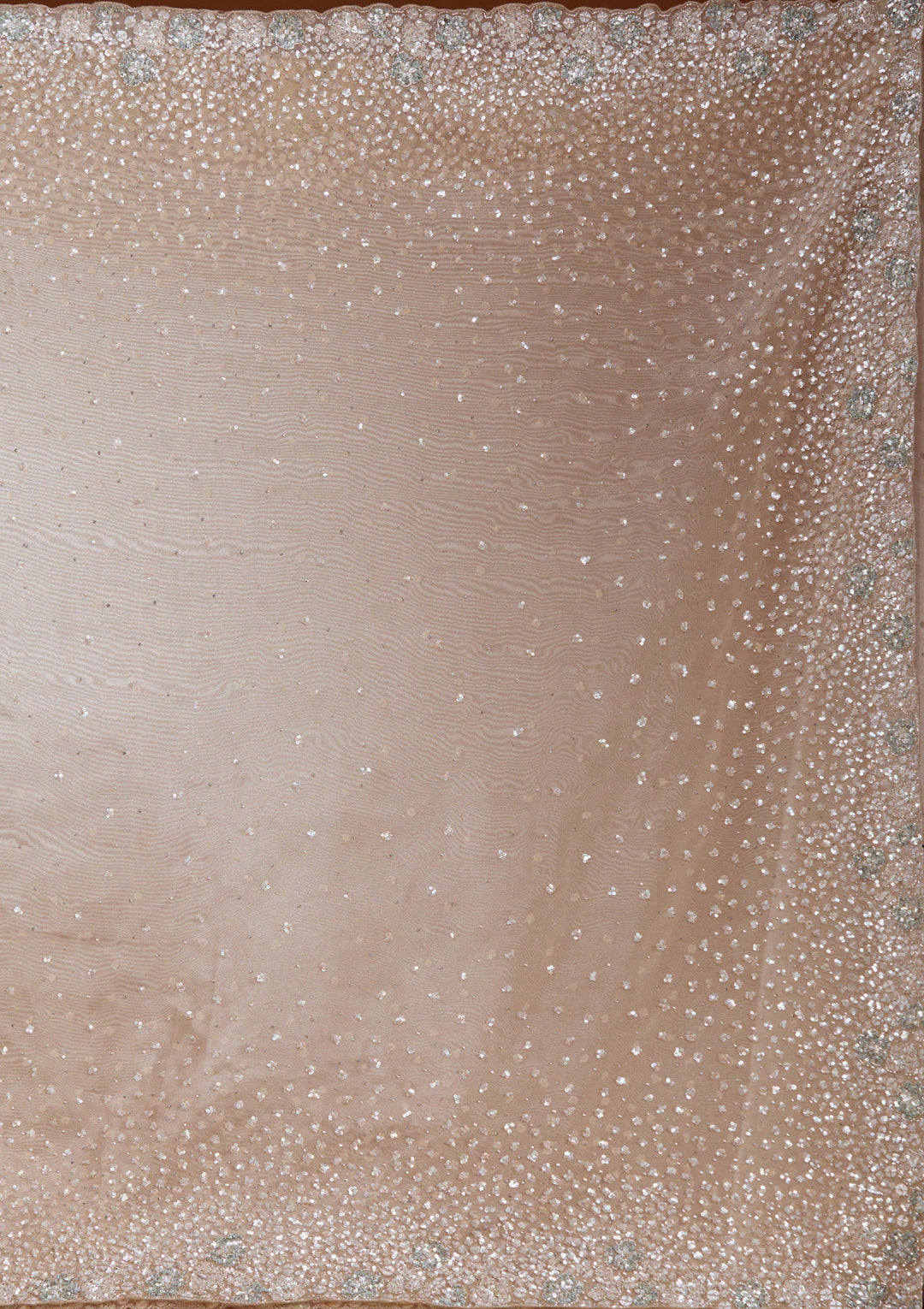 Beige Sequins Tissue Saree