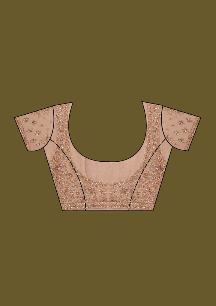 Beige Zariwork (Gold) Net Saree