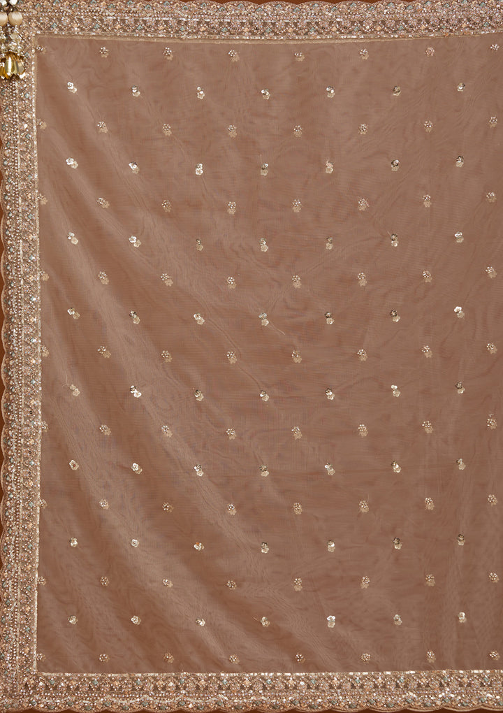 Beige Sequins Net Readymade Salwar Suit