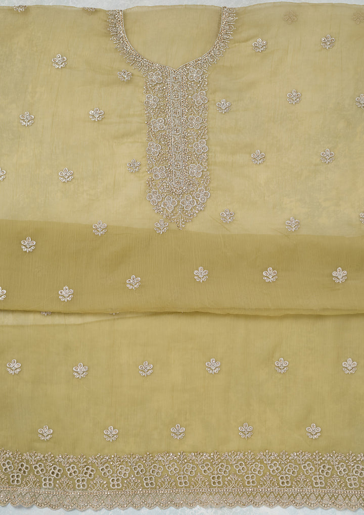 Pista Green Zariwork (Gold) Chinon Unstitched Salwar Suit