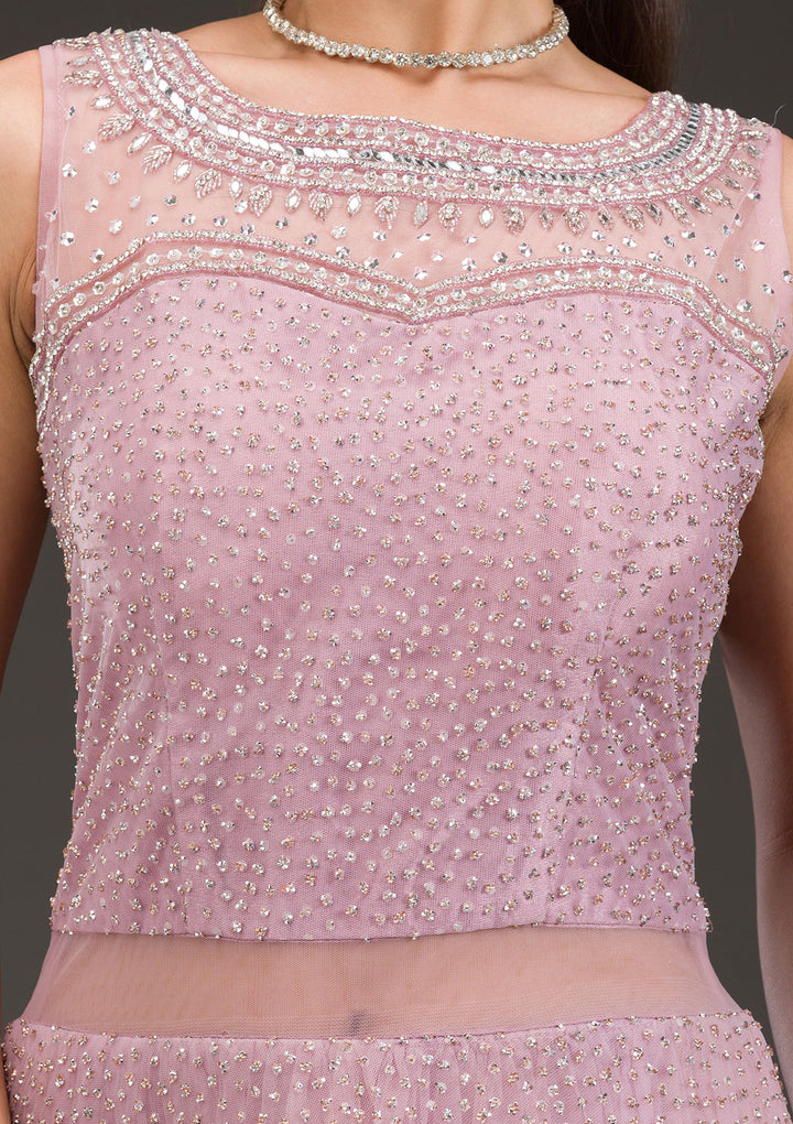 Baby Pink Glitter Net Gown