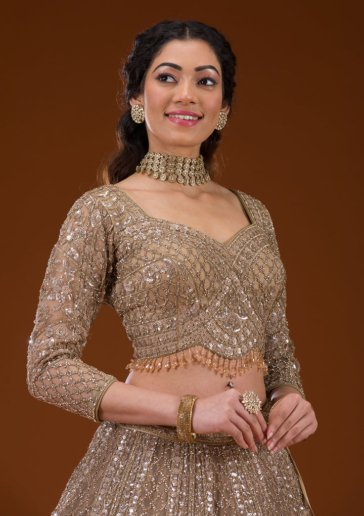 Beige Stonework Net Readymade Lehenga