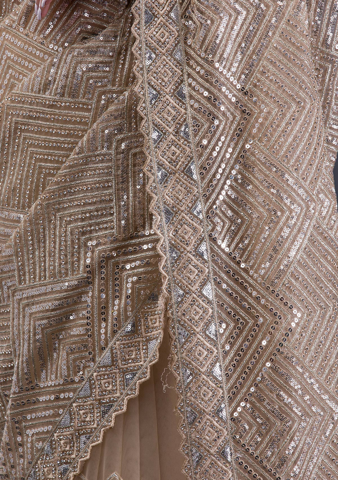 Beige Threadwork Net Saree