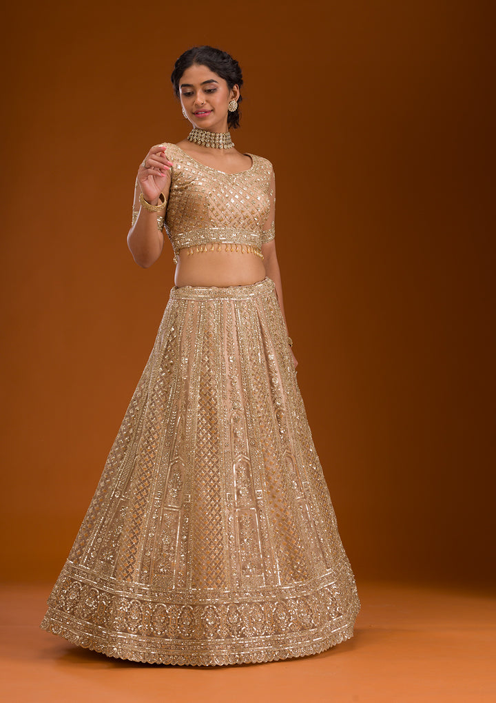 Beige Zariwork Net Readymade Lehenga