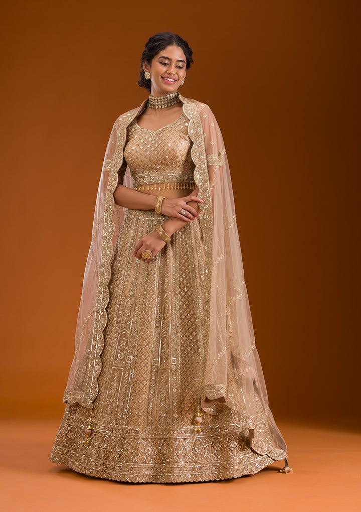 Beige Zariwork Net Readymade Lehenga