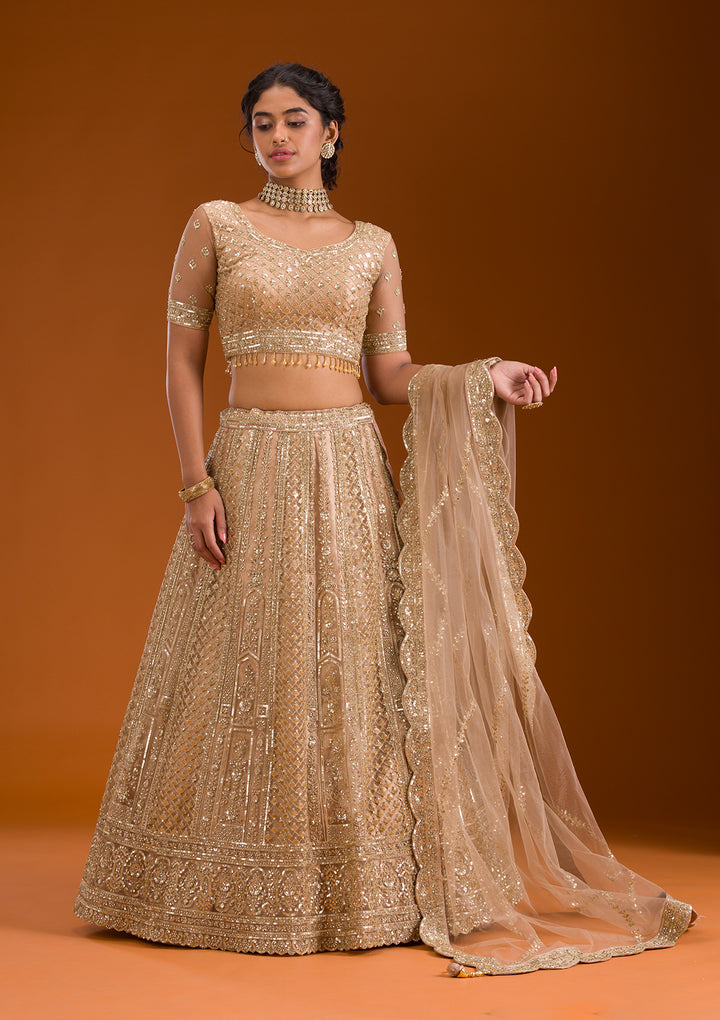 Beige Zariwork Net Readymade Lehenga