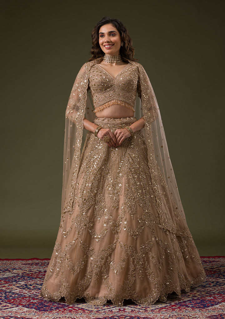 Beige Zariwork Net Readymade Lehenga
