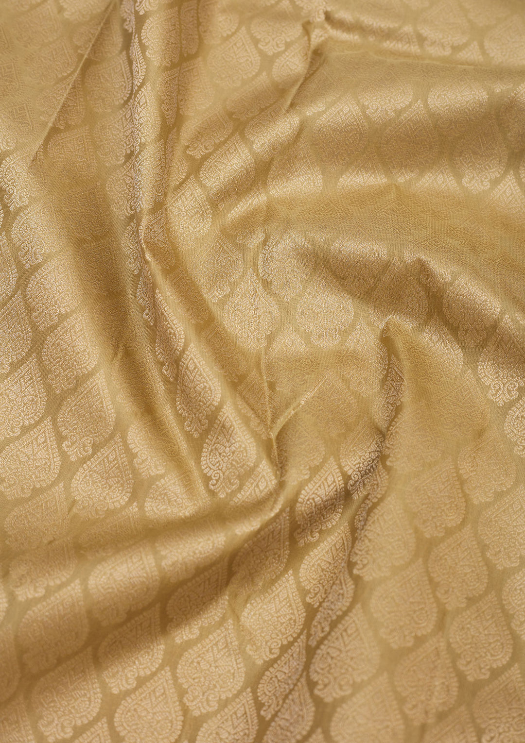 Beige Zariwork Pure Silk Saree