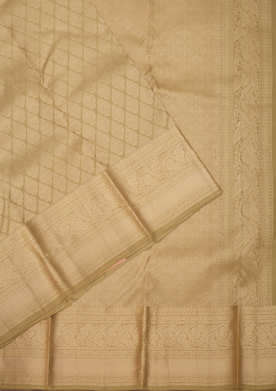 Beige Zariwork Pure Silk Saree