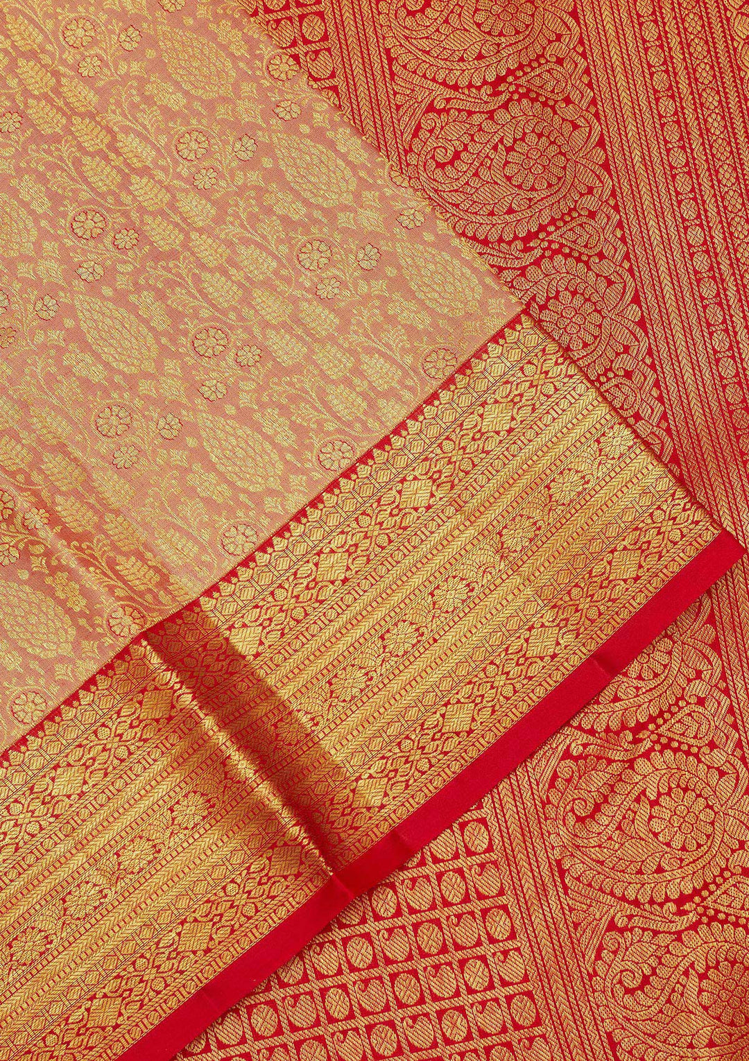 Beige Zariwork Pure Silk Saree