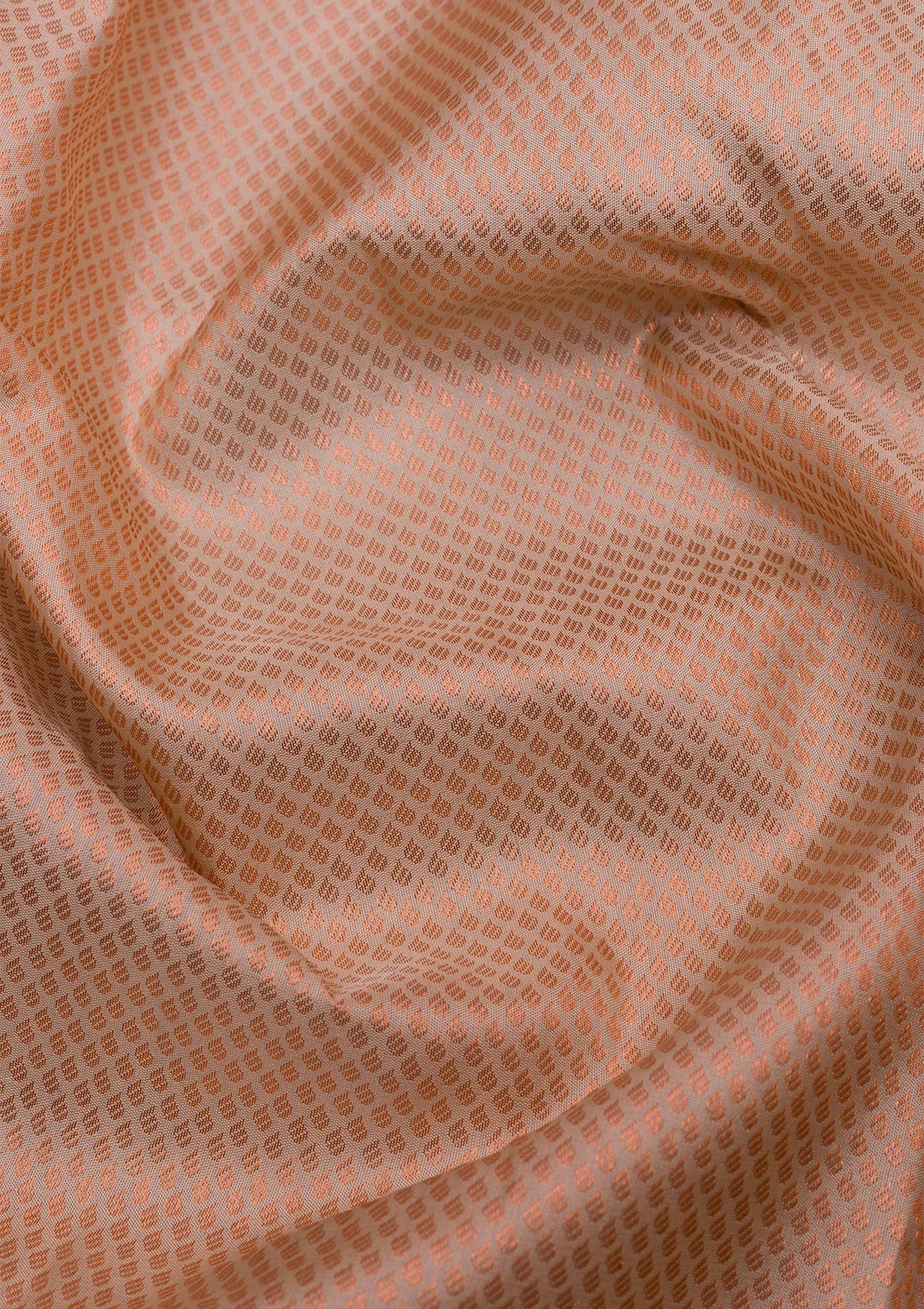 Beige Zariwork Pure Silk Saree