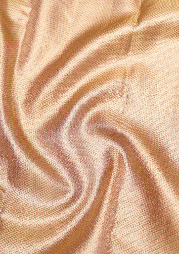 Beige Zariwork Pure Silk Saree