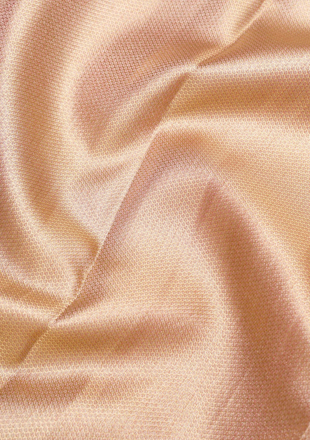Beige Zariwork Pure Silk Saree