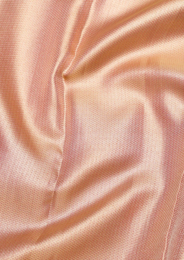 Beige Zariwork Pure Silk Saree