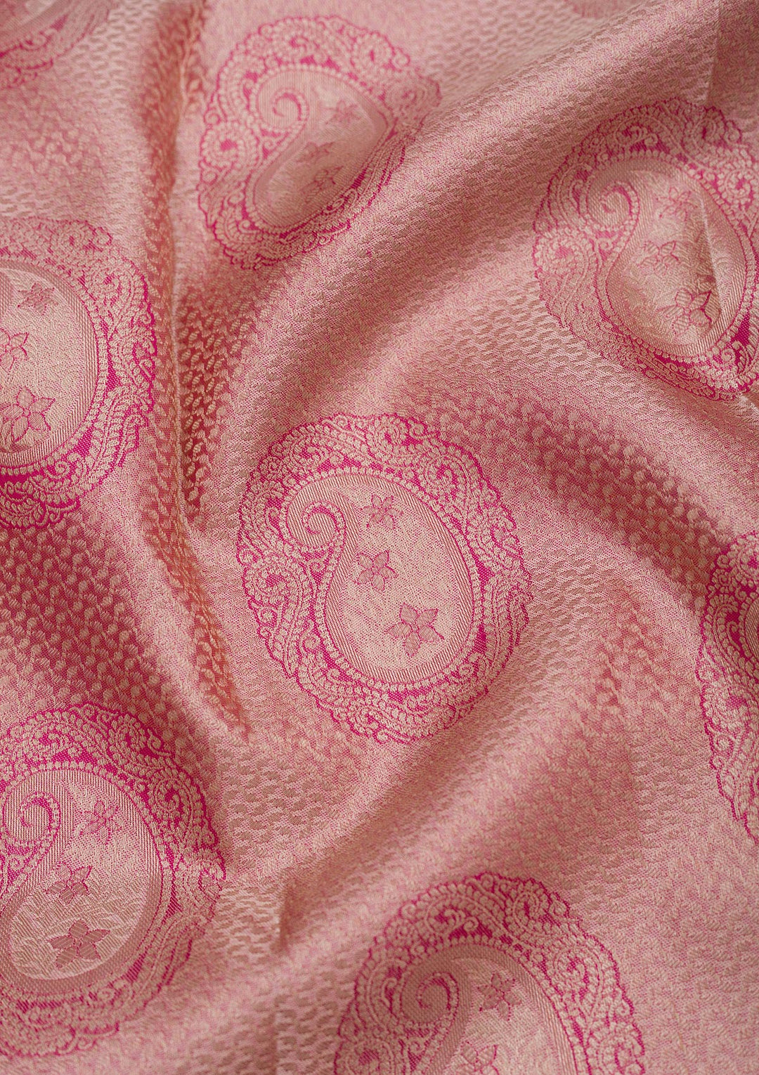 Beige Zariwork Pure Silk Saree