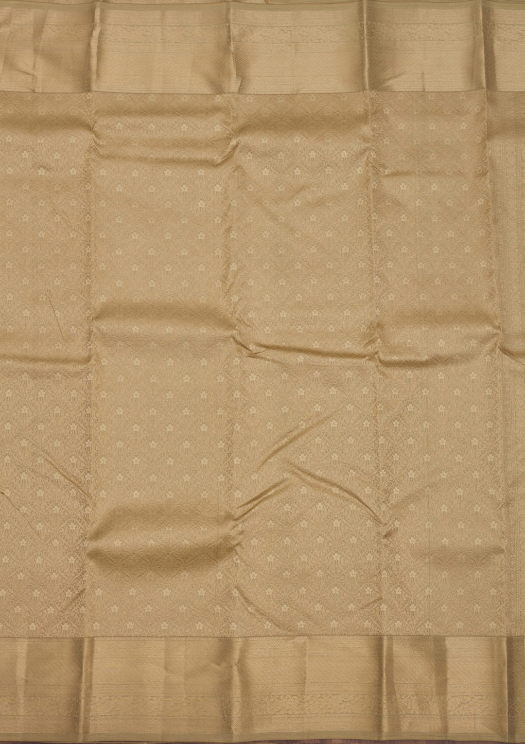 Beige Zariwork Pure Silk Saree