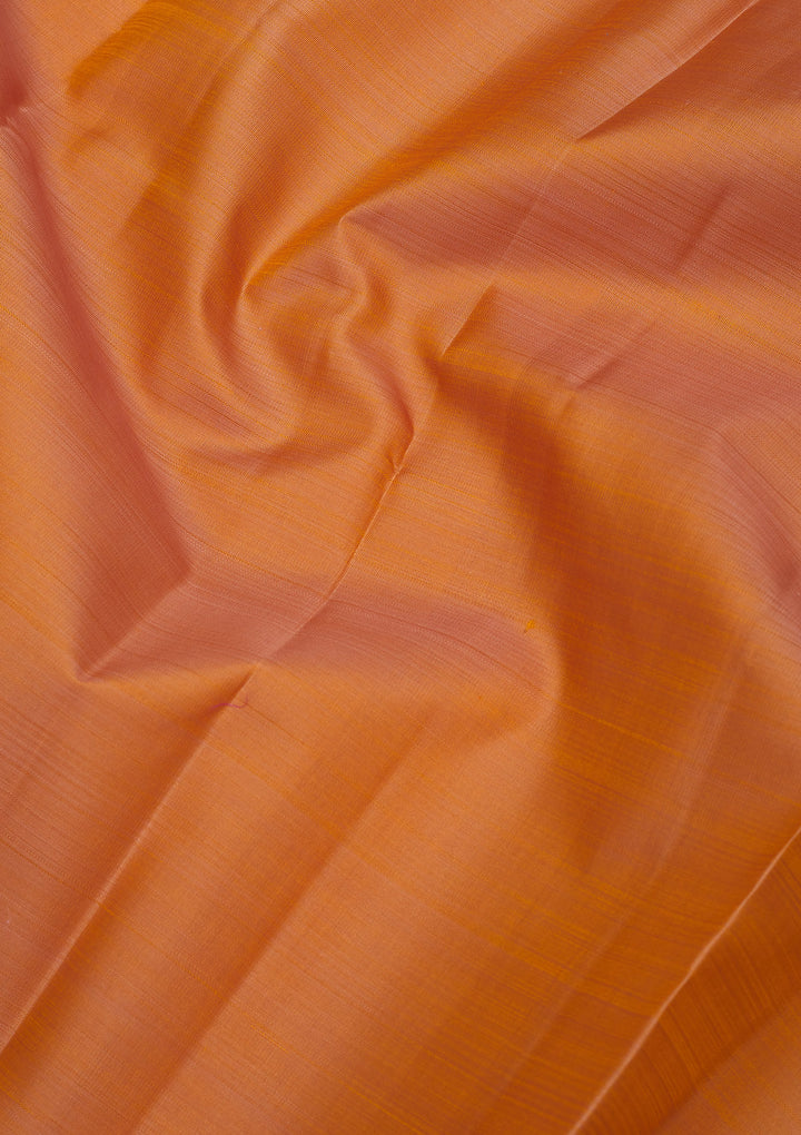 Beige Zariwork Pure Silk Saree