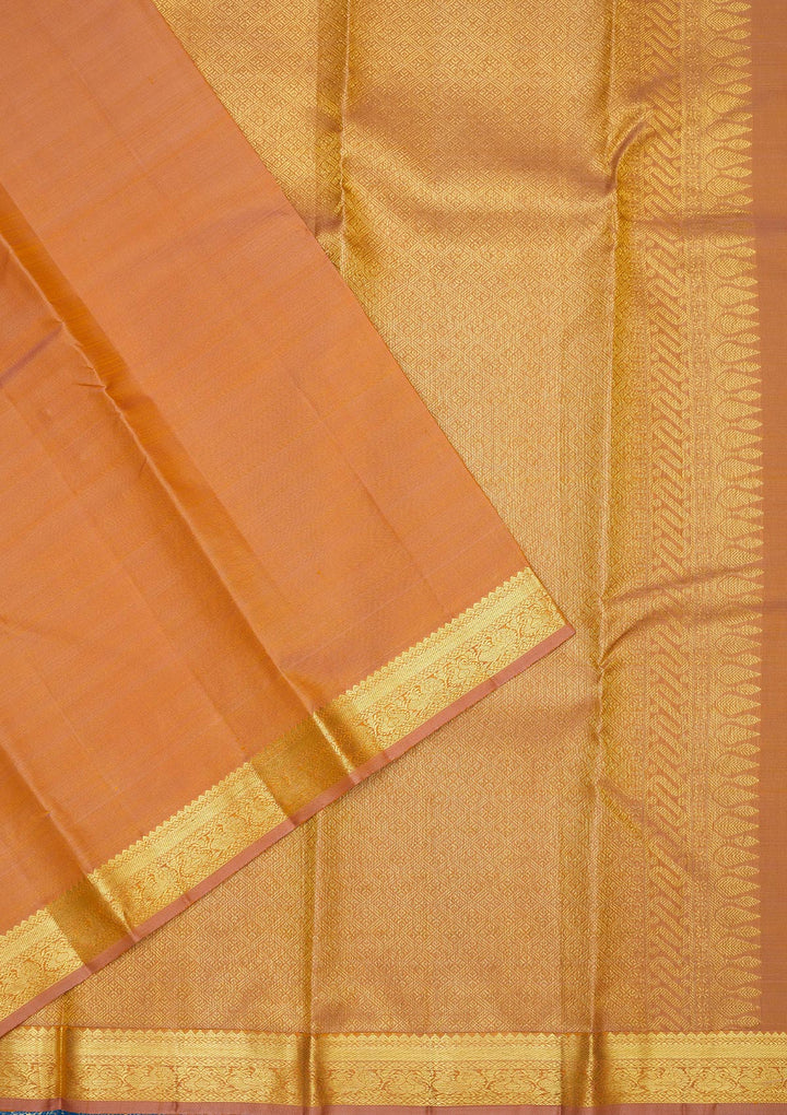 Beige Zariwork Pure Silk Saree