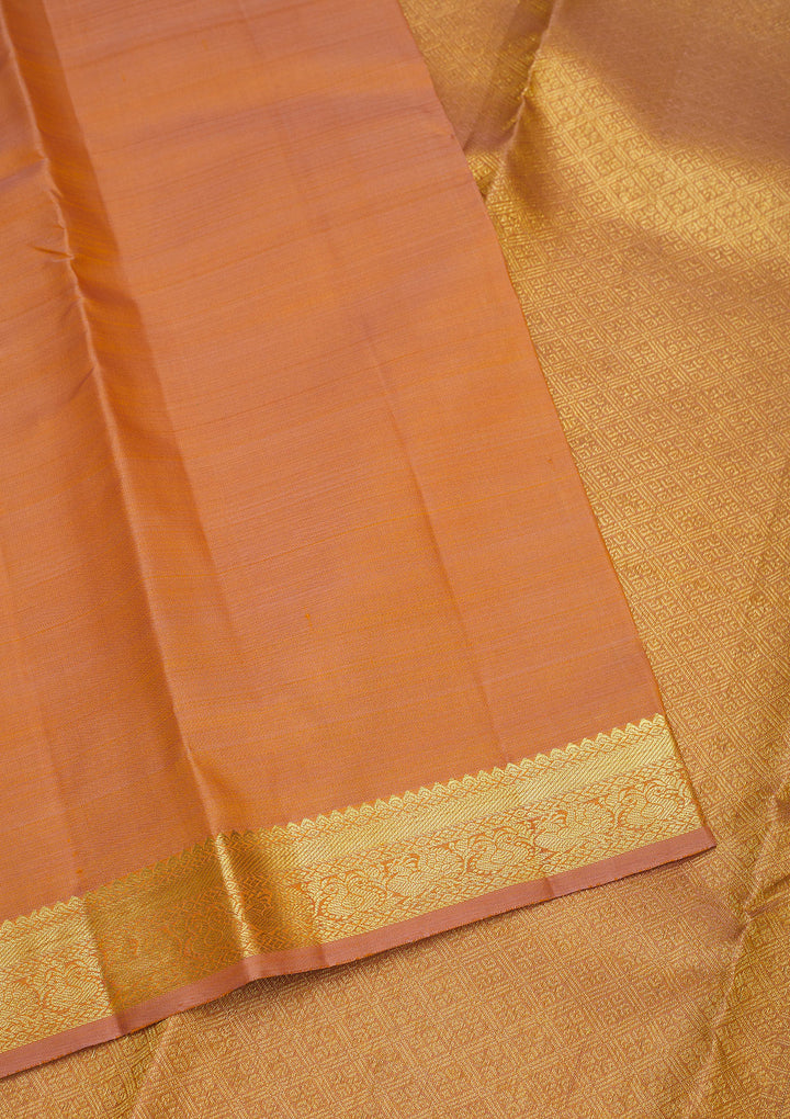Beige Zariwork Pure Silk Saree