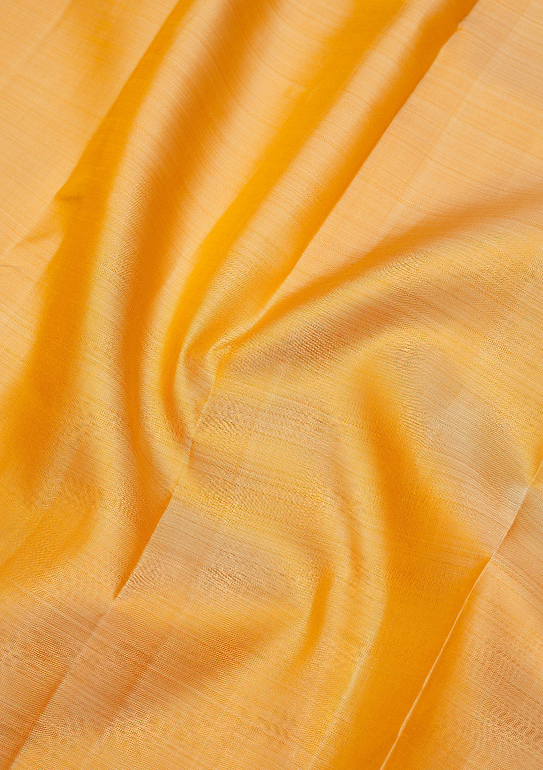 Beige Zariwork Pure Silk Saree